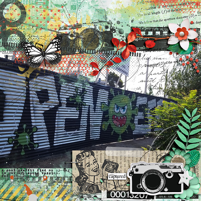 Graffiti finds