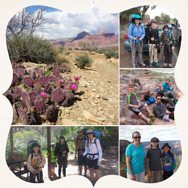Grand Canyon Photo Collage