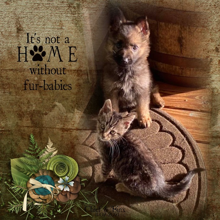 Grand Fur-Babies