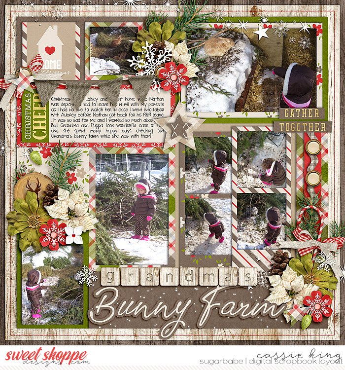 Grandma's Bunny Farm