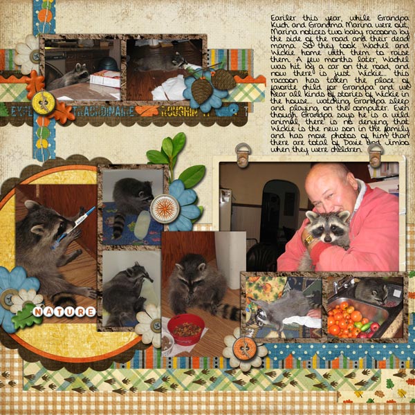 Grandpa's raccoon, left page
