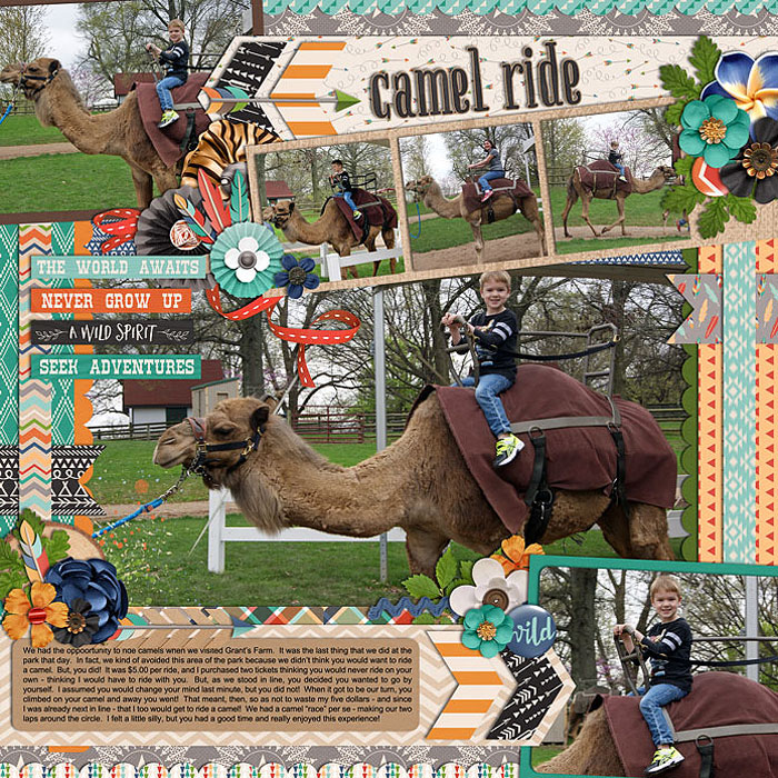 Grant's Farm - Camel Rides