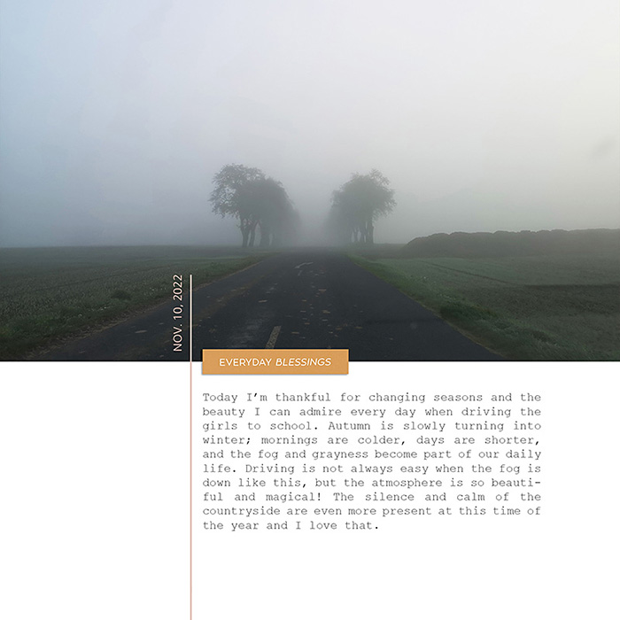 Gratitude album - 11/10