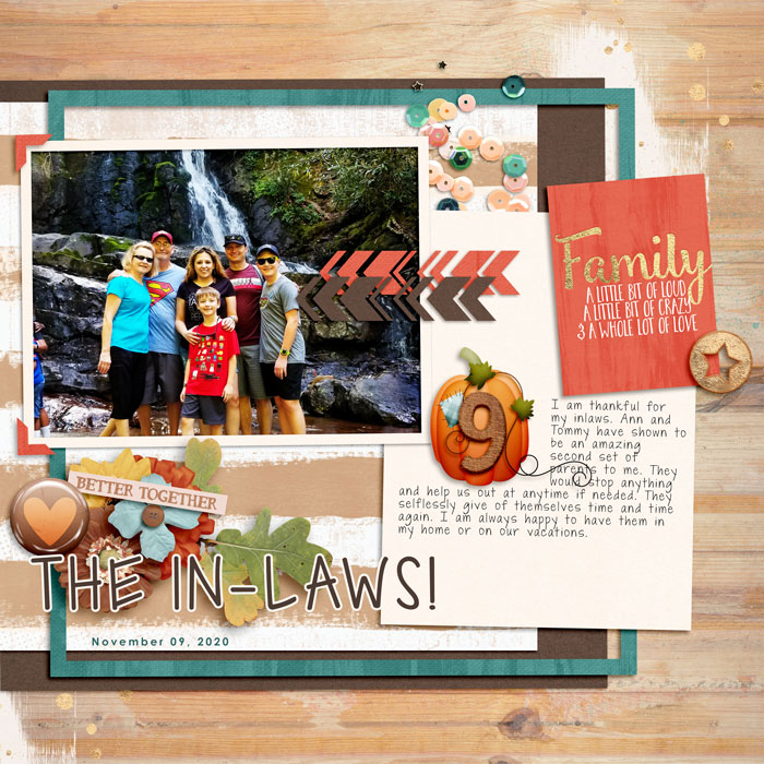 Gratitude Album Day 09: The InLaws