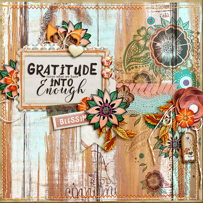 Gratitude For What You Have