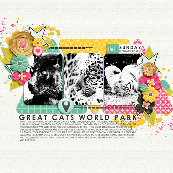 Great Cats World Park