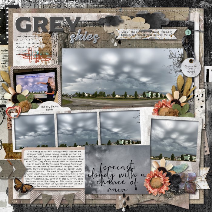 Grey skies