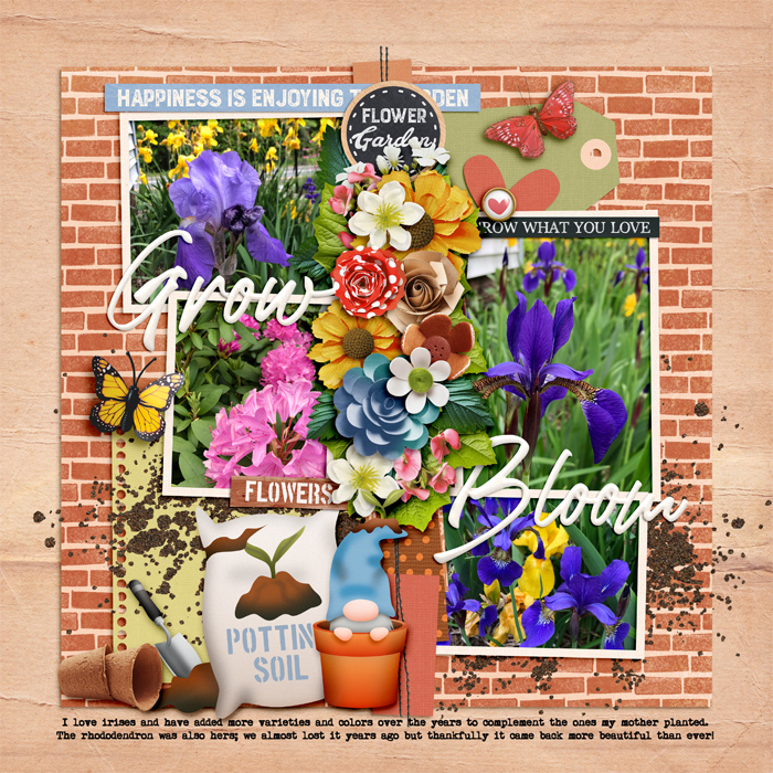 Grow and Bloom