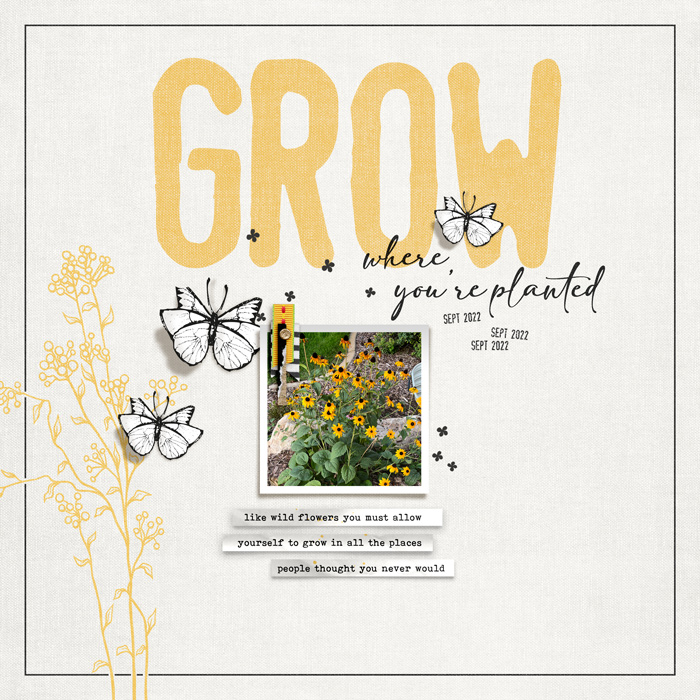 grow where you're planted