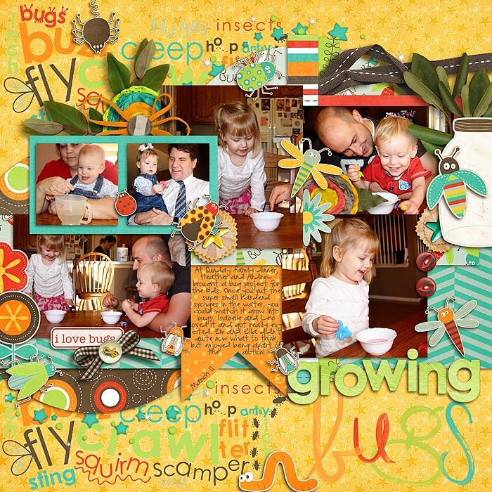 Growing Bugs
