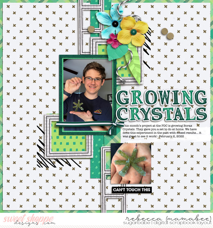 growing crystals
