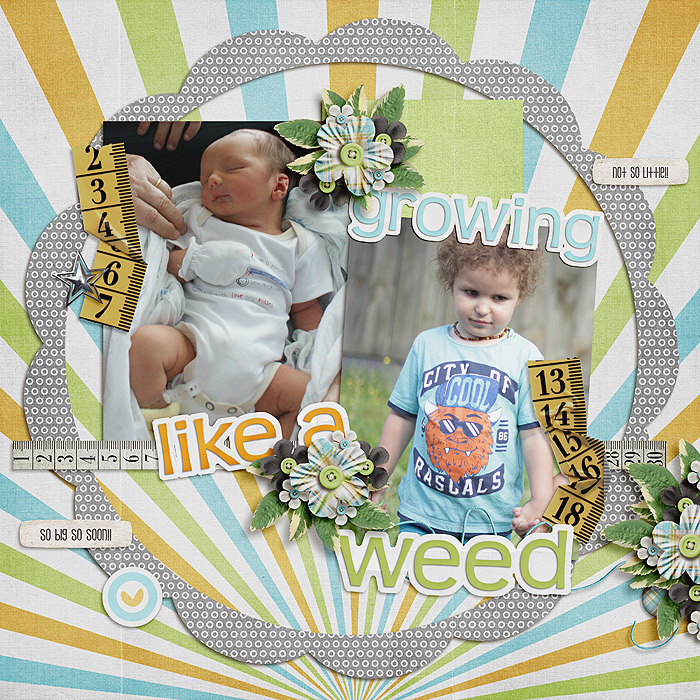 Growing Like a Weed