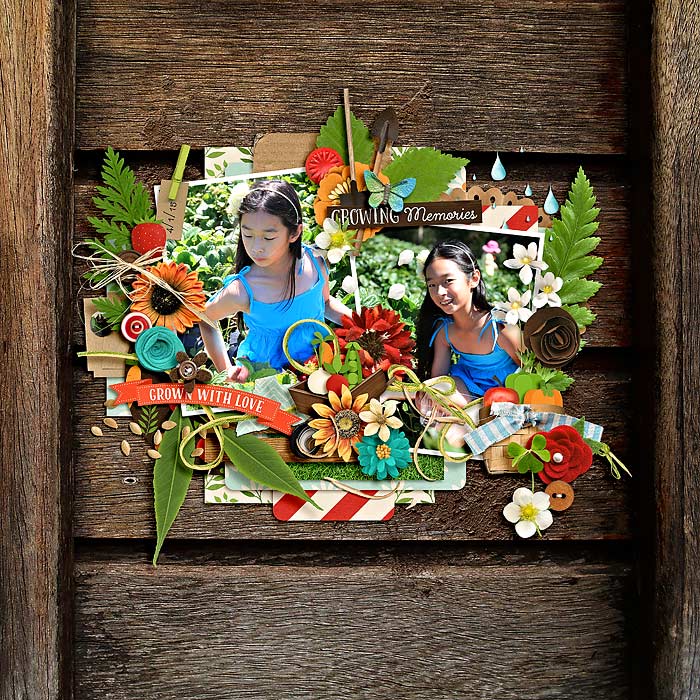 growing memories