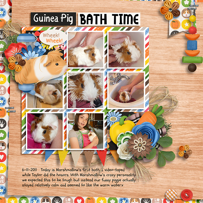 Guinea Pig's First Bath