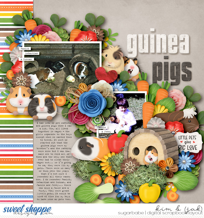 Guinea Pigs