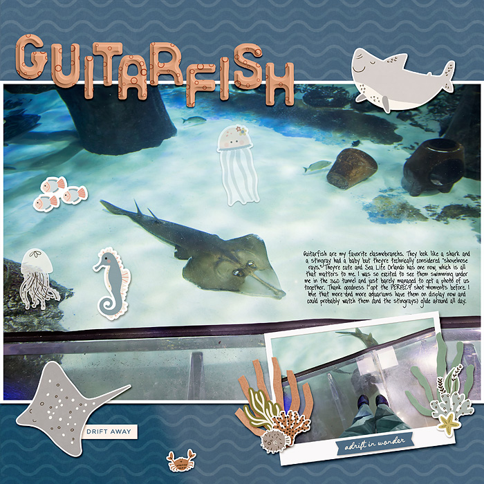 guitarfish