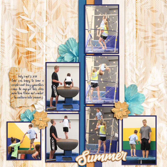 Gymnastics camp