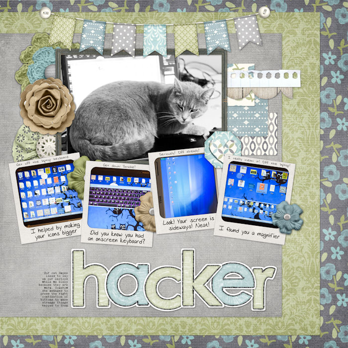 Hacker cat