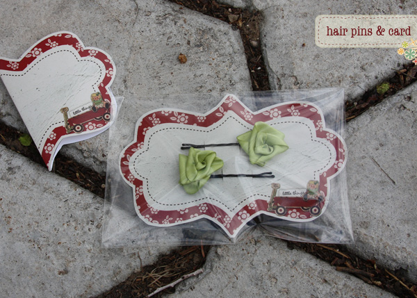 hair pins and card set