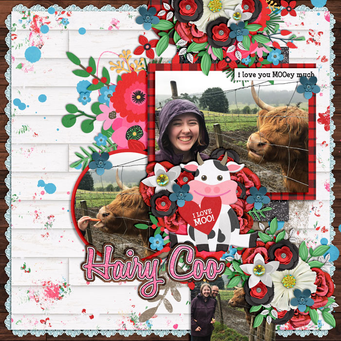 Hairy Coo