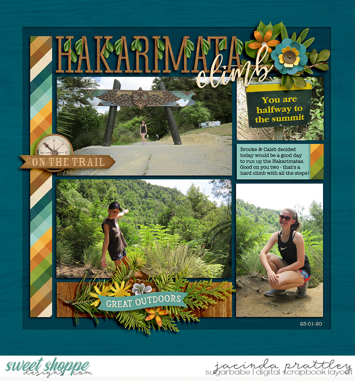 Hakarimata climb