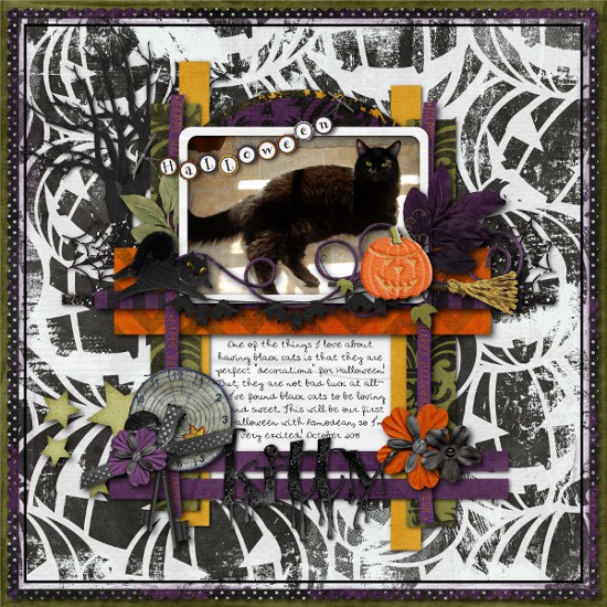 Halloween Kitty