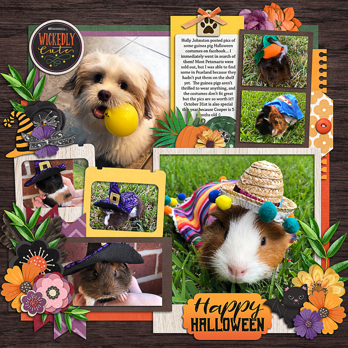 Halloween pets