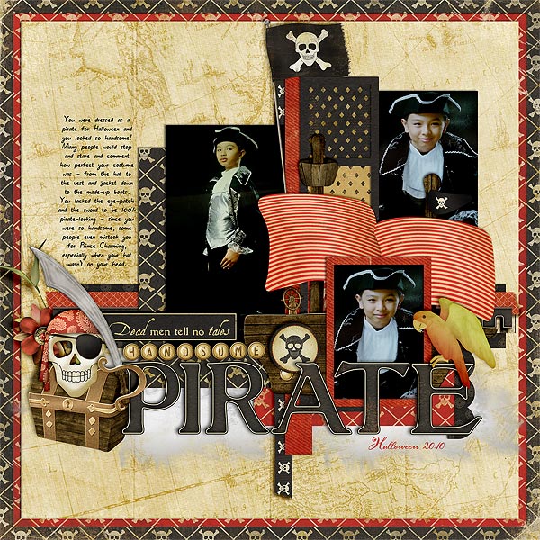 Handsome Pirate