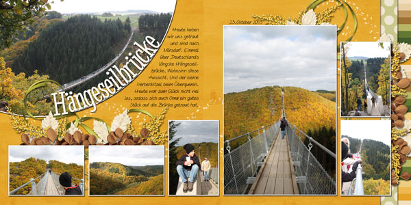 hanging rope bridge