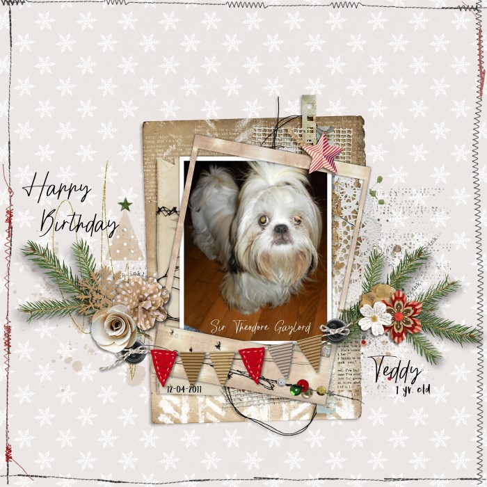 Happy Birthday Teddy