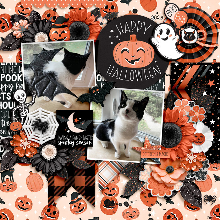 happy halloween