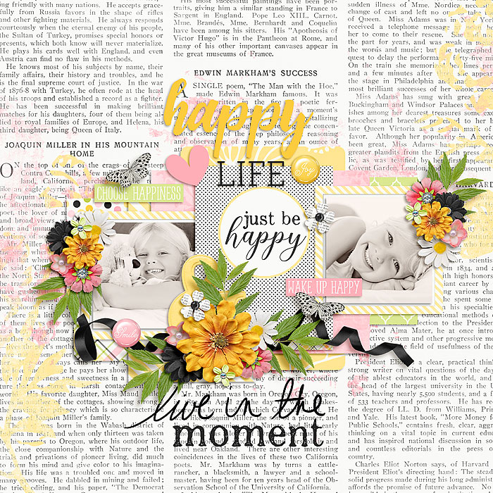 happy life