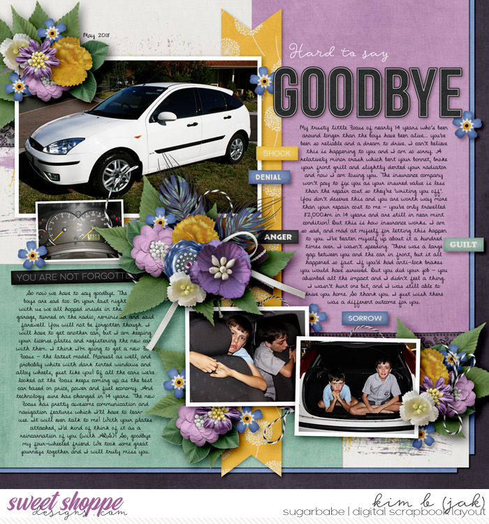 Hard to Say Goodbye