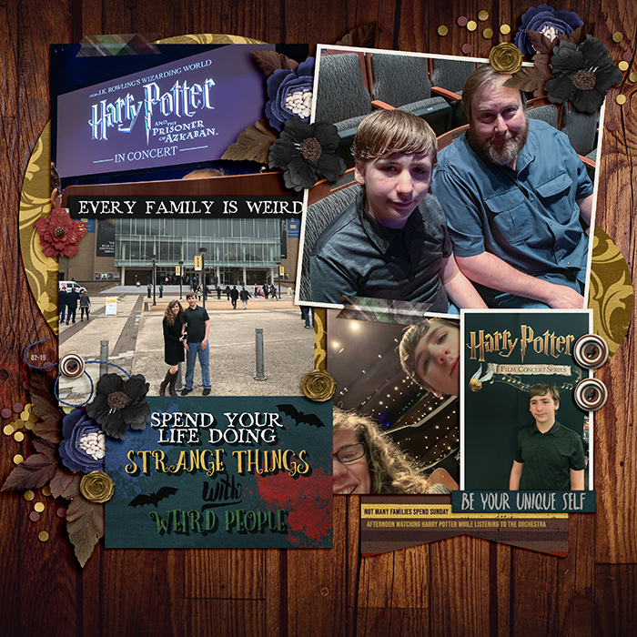 Harry Potter Concert