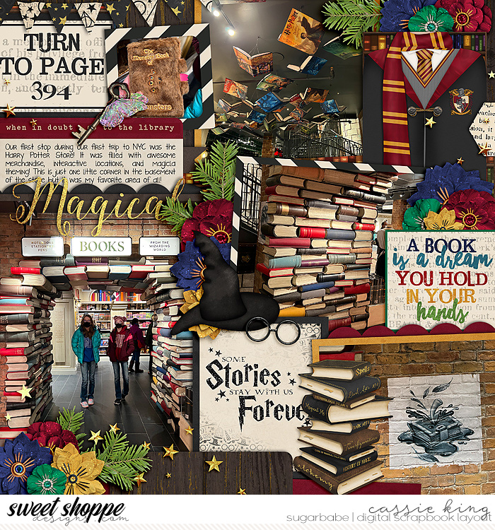 Harry Potter New York