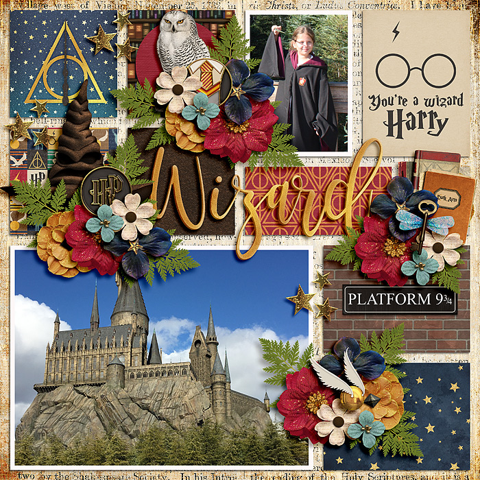 Harry Potter