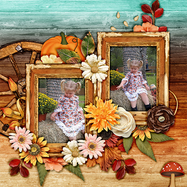 harvest birthday