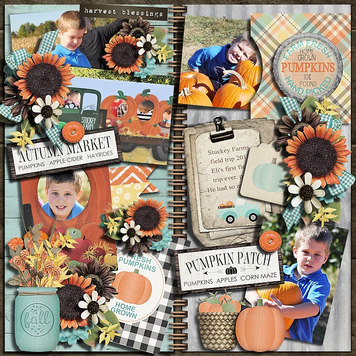 Harvest Blessings