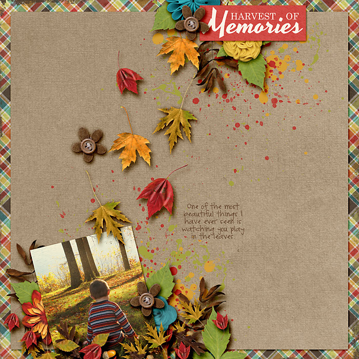 Harvest of Memories