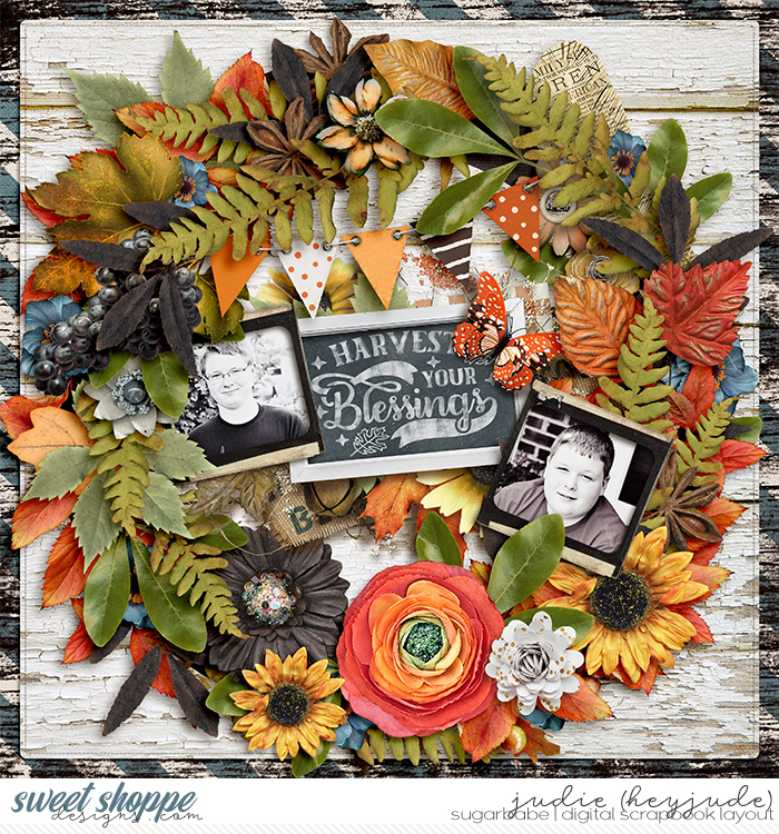 Harvest Your Blessings