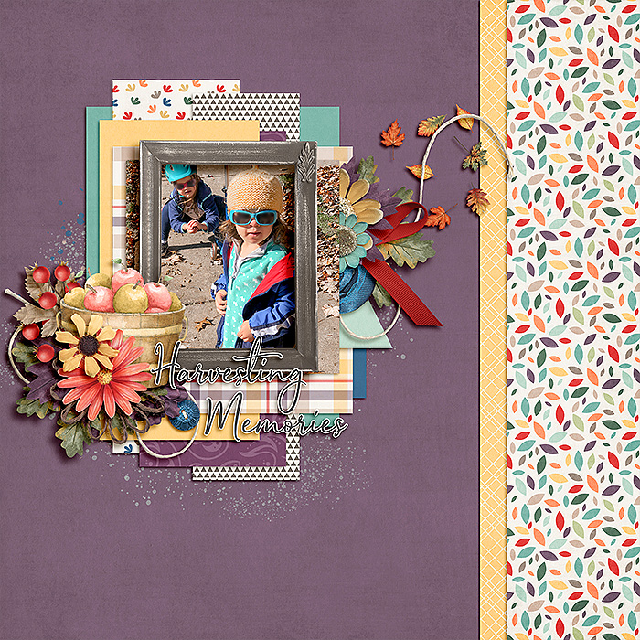 Harvesting Memories