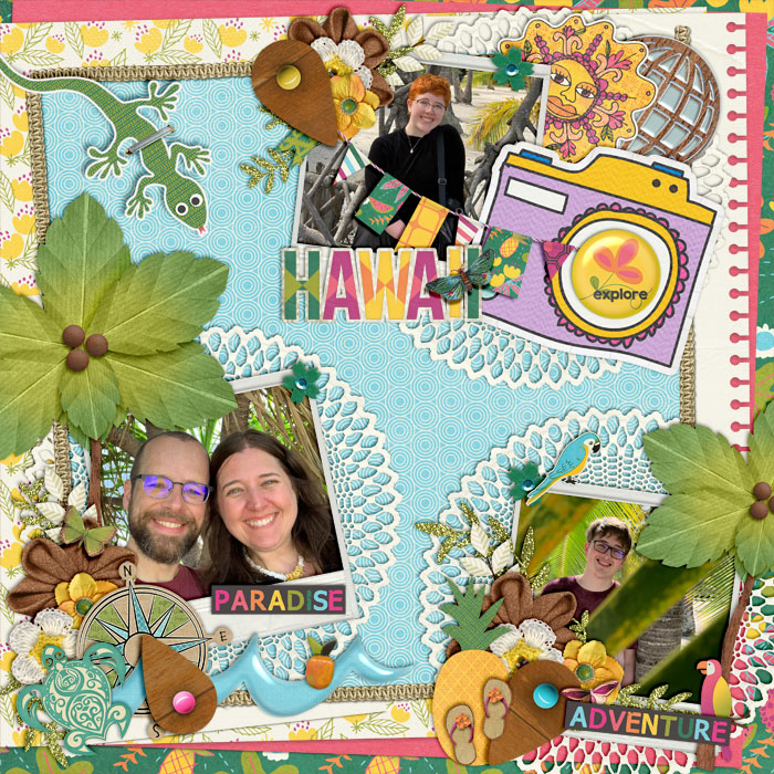 Hawaii 2020