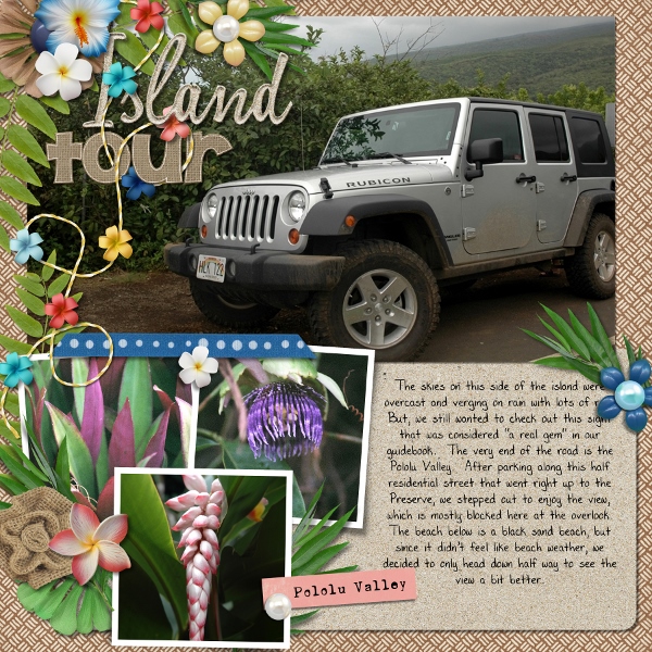 Hawaii Island Tour