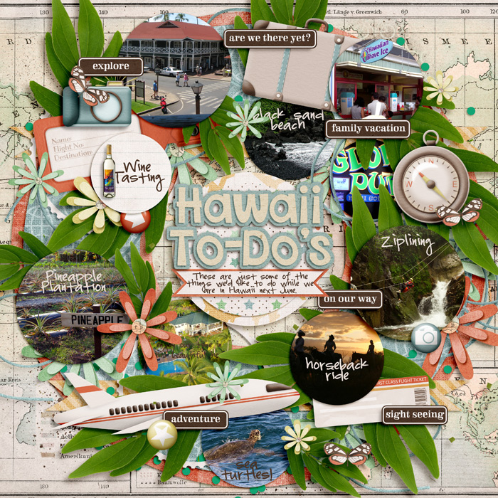 Hawaii To-Do's