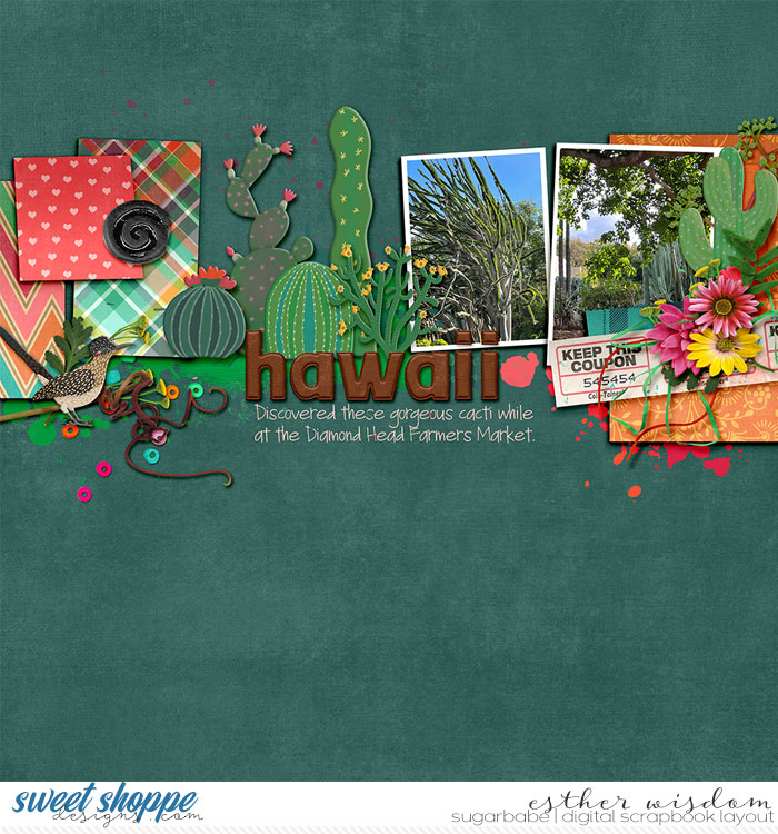 Hawaiian Cacti