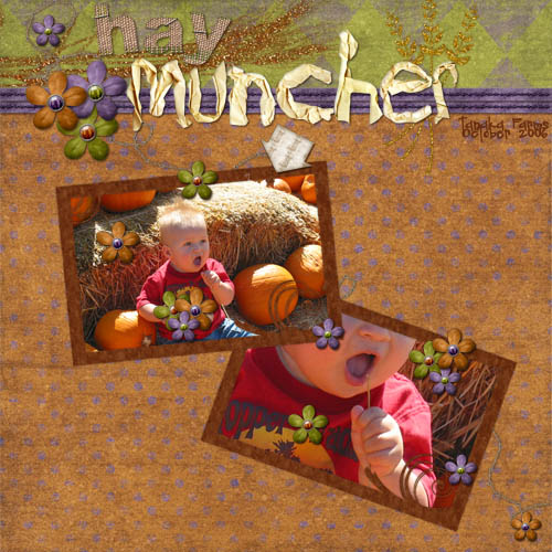 Hay Muncher