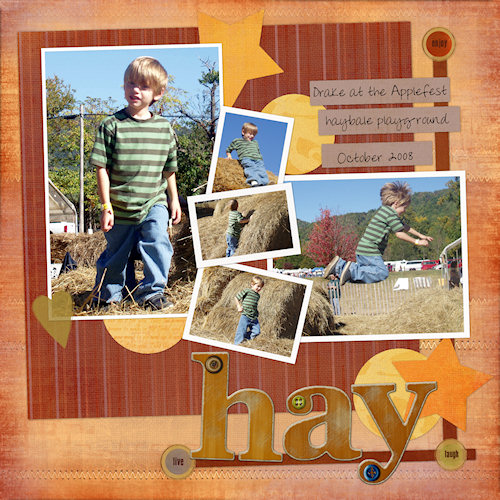 Hay