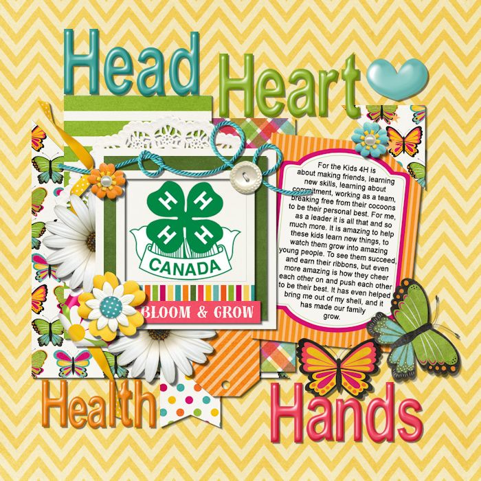 Head Heart Health Hands