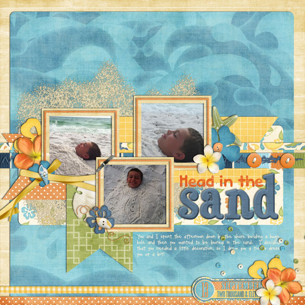 Head In The Sand