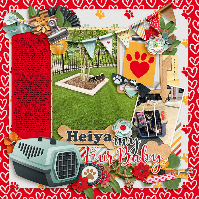 Heiya my fur baby